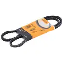 CONTINENTAL CTAM AVX10X1175 Keilriemen