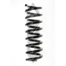 SPIDAN 55744 Fahrwerksfeder