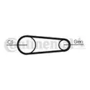 CONTINENTAL CTAM 6PK831 ELAST T1 Keilrippenriemen Elast + Tool