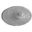 VAN WEZEL Blinker seitlich li./re. weiß 3777915