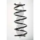 2x Spidan Fahrwerksfeder 56170 Vorderachse Renault Kangoo und Kangoo Rapid