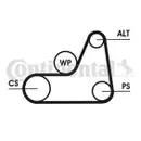 CONTINENTAL CTAM 6PK1042 ELAST Keilrippenriemen
