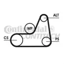 CONTINENTAL CTAM 6PK1042 ELAST Keilrippenriemen