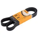 CONTINENTAL CTAM 8PK1226 Keilrippenriemen