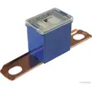 HERTH+BUSS ELPARTS 50295459 Sicherung 100A blau