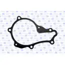 Wasserpumpe Motorkühlung Gk 986803 für Fiat für Ford für Mazda für Mitsubishi