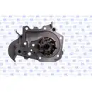 GK 986849 Wasserpumpe für RENAULT, DACIA