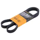 CONTINENTAL CTAM 6PK1310 Keilrippenriemen