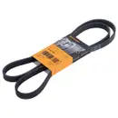 CONTINENTAL CTAM 5PK1592 Keilrippenriemen