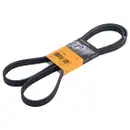 CONTINENTAL CTAM 6PK1885 Keilrippenriemen