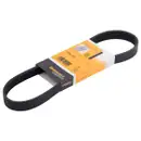 CONTINENTAL CTAM 6PK745 Keilrippenriemen