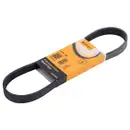 CONTINENTAL CTAM 6PK751 Keilrippenriemen