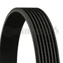 CONTINENTAL CTAM 7PK1570 Keilrippenriemen