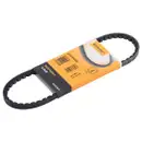 CONTINENTAL CTAM AVX10X660 Keilriemen