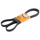 CONTINENTAL CTAM 6PK1740 Keilrippenriemen