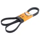 CONTINENTAL CTAM 6PK1836 Keilrippenriemen
