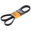 CONTINENTAL CTAM 6PK1670 Keilrippenriemen