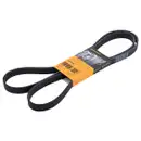 CONTINENTAL CTAM 6PK1856 Keilrippenriemen