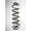 2x Spidan Fahrwerksfeder 49499 Hinterachse VW Golf IV
