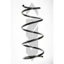 2x Spidan Fahrwerksfeder 56182 Vorderachse Renault Clio II