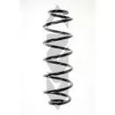 2x Spidan Fahrwerksfeder Hinterachse 56057 Citroen C4 Peugeot 307