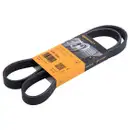 CONTINENTAL CTAM 6PK1264 Keilrippenriemen