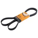 CONTINENTAL CTAM 6PK1780 Keilrippenriemen