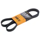 CONTINENTAL CTAM 6PK1380 Keilrippenriemen