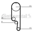 CONTINENTAL CTAM CT1008K2 Zahnriemen Kit
