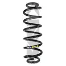 2x Spidan Fahrwerksfeder 86484 Hinterachse VW Passat 3C2 3C5 365 Tiguan 5N