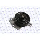 Wasserpumpe Motorkühlung Gk 987691 für Citroën für Daihatsu für Peugeot