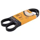 CONTINENTAL CTAM 5PK1090 Keilrippenriemen