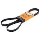 CONTINENTAL CTAM 5PK1720 Keilrippenriemen