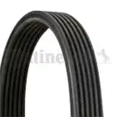 CONTINENTAL CTAM 6DPK1841 Keilrippenriemen