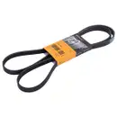 CONTINENTAL CTAM 5PK1788 Keilrippenriemen