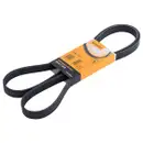 Keilrippenriemen Continental Ctam 6PK1705 für Audi für Bmw für Citroën für Fiat