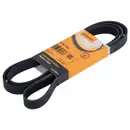 CONTINENTAL CTAM 6PK1900 Keilrippenriemen