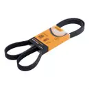 CONTINENTAL CTAM 6PK1548 Keilrippenriemen