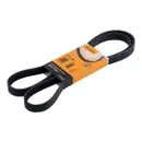 CONTINENTAL CTAM 6PK1555 Keilrippenriemen