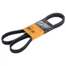 CONTINENTAL CTAM 6PK1605 Keilrippenriemen