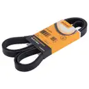 CONTINENTAL CTAM 6PK2225 Keilrippenriemen