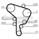 CONTINENTAL CTAM CT1044 Zahnriemen