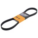 CONTINENTAL CTAM 6PK955 Keilrippenriemen