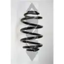 2x Spidan Fahrwerksfeder 55073 Hinterachse Renault Clio II