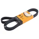 CONTINENTAL CTAM 7PK2000 Keilrippenriemen