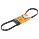 CONTINENTAL CTAM 4PK906 ELAST Keilrippenriemen