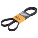 CONTINENTAL CTAM 6PK1600 Keilrippenriemen