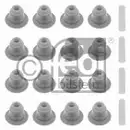 FEBI BILSTEIN 26029 Ventilschaftdichtungssatz für BMW