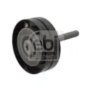 FEBI BILSTEIN 31069 Umlenkrolle für SEAT, SKODA, VW