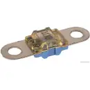 HERTH+BUSS ELPARTS 50295863 Sicherung 100A blau